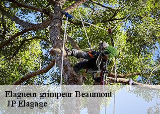 Elagueur grimpeur  beaumont-19390  JP Elagage