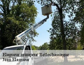 Elagueur grimpeur bellechassagne-19290 Jean Elagueur