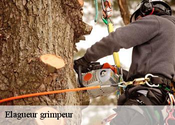 Elagueur grimpeur
