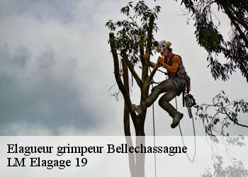 Elagueur grimpeur  bellechassagne-19290 LM Elagage 19