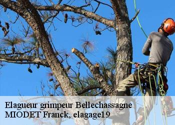 Elagueur grimpeur  bellechassagne-19290 MIODET Franck, elagage19
