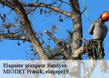 Elagueur grimpeur  benayes-19510 MIODET Franck, elagage19