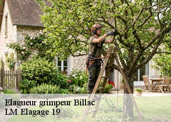Elagueur grimpeur 19120
