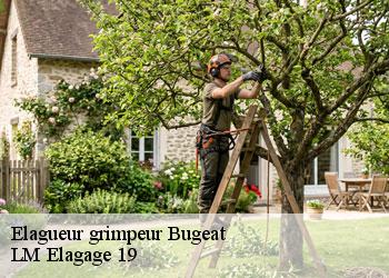 Elagueur grimpeur  19170