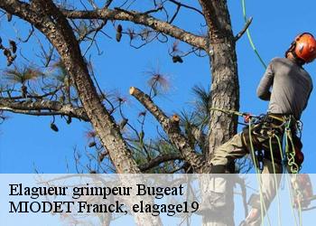 Elagueur grimpeur  bugeat-19170 MIODET Franck, elagage19