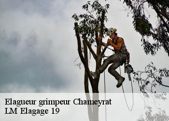 Elagueur grimpeur chameyrat-19330 LM Elagage 19