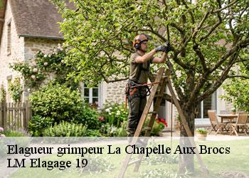 Elagueur grimpeur  19360