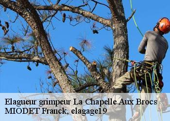 Elagueur grimpeur  la-chapelle-aux-brocs-19360 MIODET Franck, elagage19