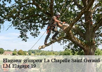 Elagueur grimpeur 19430