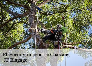 Elagueur grimpeur  le-chastang-19190  JP Elagage