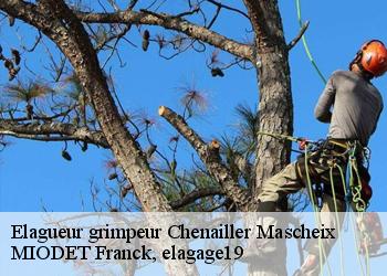 Elagueur grimpeur  chenailler-mascheix-19120 MIODET Franck, elagage19