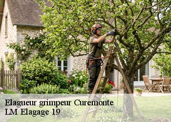 Elagueur grimpeur 19500