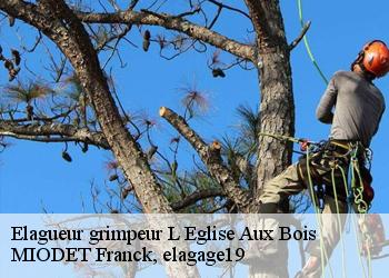 Elagueur grimpeur  l-eglise-aux-bois-19170 MIODET Franck, elagage19