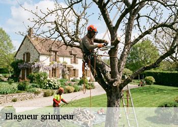 Elagueur grimpeur 19430