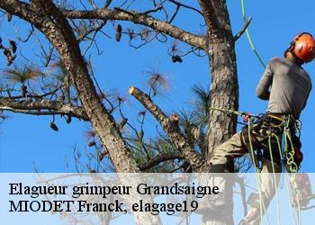 Elagueur grimpeur  grandsaigne-19300 MIODET Franck, elagage19