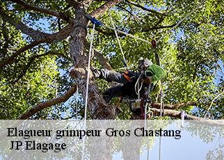 Elagueur grimpeur  gros-chastang-19320  JP Elagage