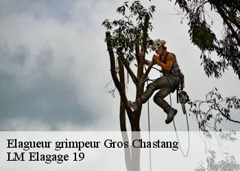 Elagueur grimpeur gros-chastang-19320 LM Elagage 19