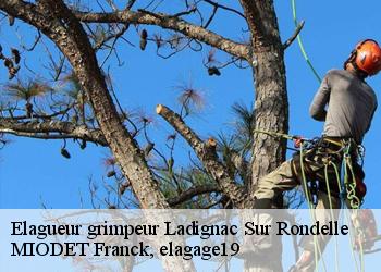 Elagueur grimpeur  ladignac-sur-rondelle-19150 MIODET Franck, elagage19