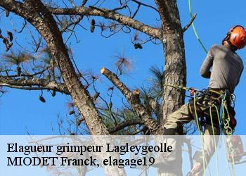 Elagueur grimpeur  lagleygeolle-19500 MIODET Franck, elagage19