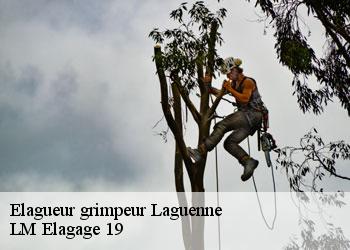 Elagueur grimpeur laguenne-19150 LM Elagage 19