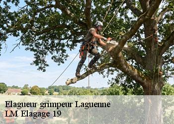 Elagueur grimpeur 19150
