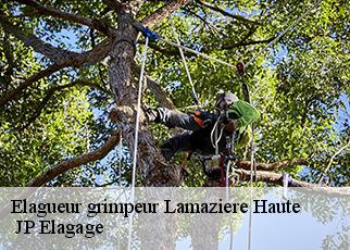 Elagueur grimpeur lamaziere-haute-19340 JP Elagage