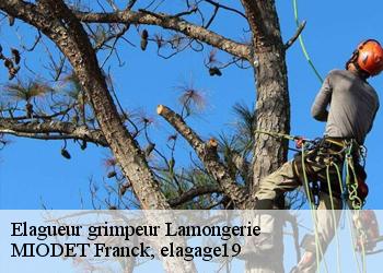 Elagueur grimpeur  lamongerie-19510 MIODET Franck, elagage19