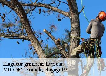 Elagueur grimpeur  lapleau-19550 MIODET Franck, elagage19