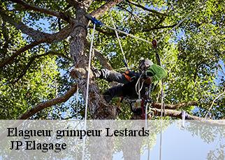 Elagueur grimpeur  lestards-19170  JP Elagage