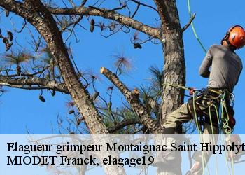 Elagueur grimpeur  montaignac-saint-hippolyte-19300 MIODET Franck, elagage19