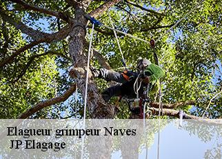 Elagueur grimpeur naves-19460 JP Elagage