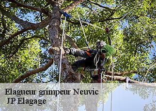Elagueur grimpeur  neuvic-19160  JP Elagage