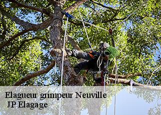 Elagueur grimpeur neuville-19380 JP Elagage