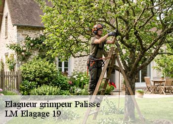 Elagueur grimpeur  19160