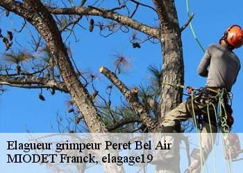 Elagueur grimpeur  peret-bel-air-19300 MIODET Franck, elagage19