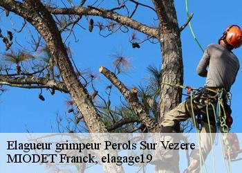 Elagueur grimpeur  perols-sur-vezere-19170 MIODET Franck, elagage19