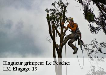 Elagueur grimpeur  le-pescher-19190 LM Elagage 19