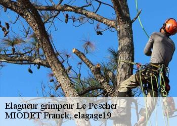 Elagueur grimpeur  le-pescher-19190 MIODET Franck, elagage19