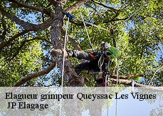 Elagueur grimpeur  queyssac-les-vignes-19120  JP Elagage