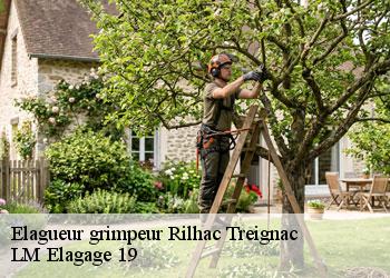 Elagueur grimpeur  19260