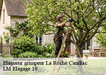 Elagueur grimpeur 19320