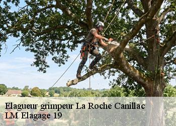 Elagueur grimpeur 19320