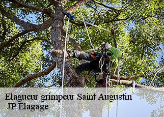 Elagueur grimpeur saint-augustin-19390 JP Elagage