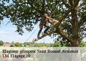 Elagueur grimpeur 19150