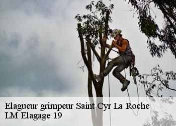 Elagueur grimpeur saint-cyr-la-roche-19130 LM Elagage 19