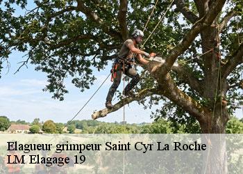 Elagueur grimpeur 19130