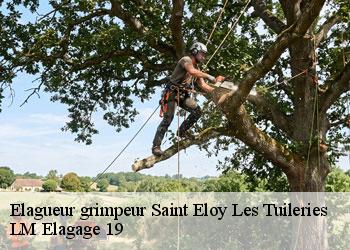 Elagueur grimpeur 19210