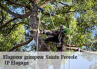 Elagueur grimpeur sainte-fereole-19270 JP Elagage