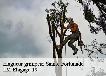 Elagueur grimpeur sainte-fortunade-19490 LM Elagage 19