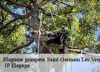 Elagueur grimpeur  saint-germain-les-vergnes-19330  JP Elagage